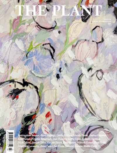 The Plant - © Nutshell & Co