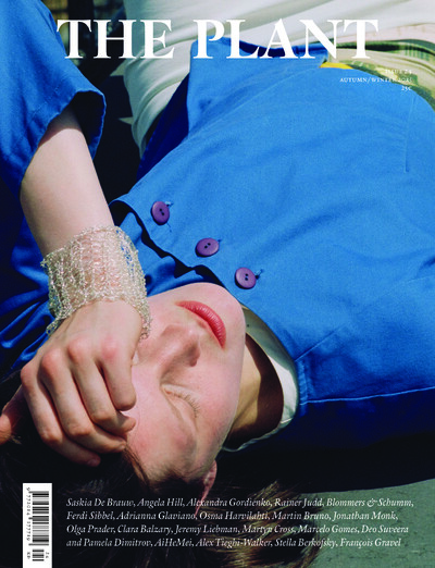 The Plant - © Nutshell & Co